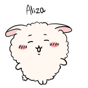 Meet your Posher, Aliza